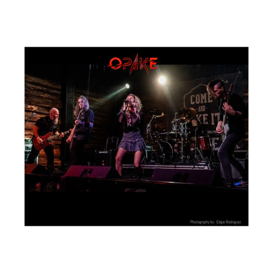 OPAKE Rock Band Satin Poster